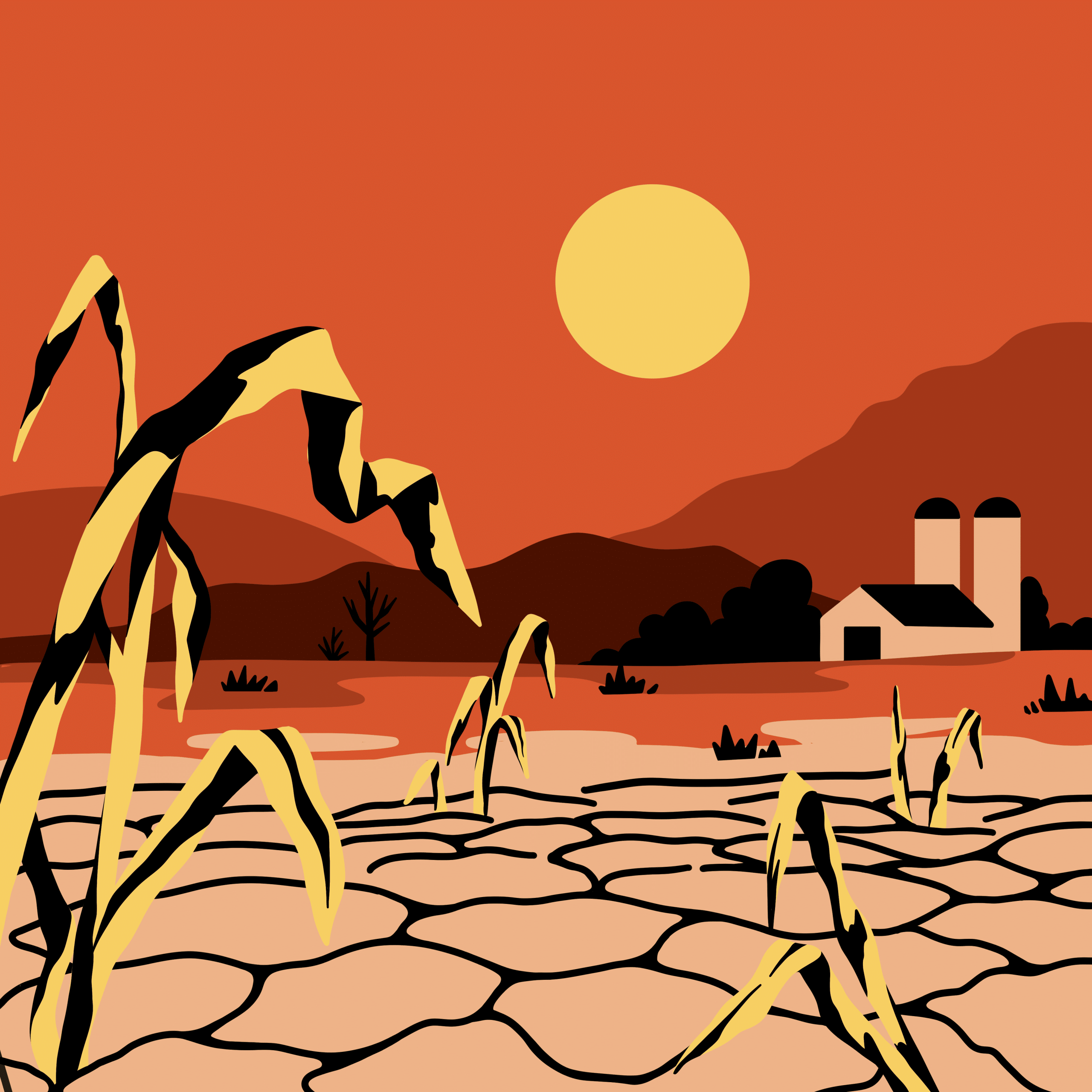 Champ asséché : terre craquelée et plants fanés sous un soleil écrasant